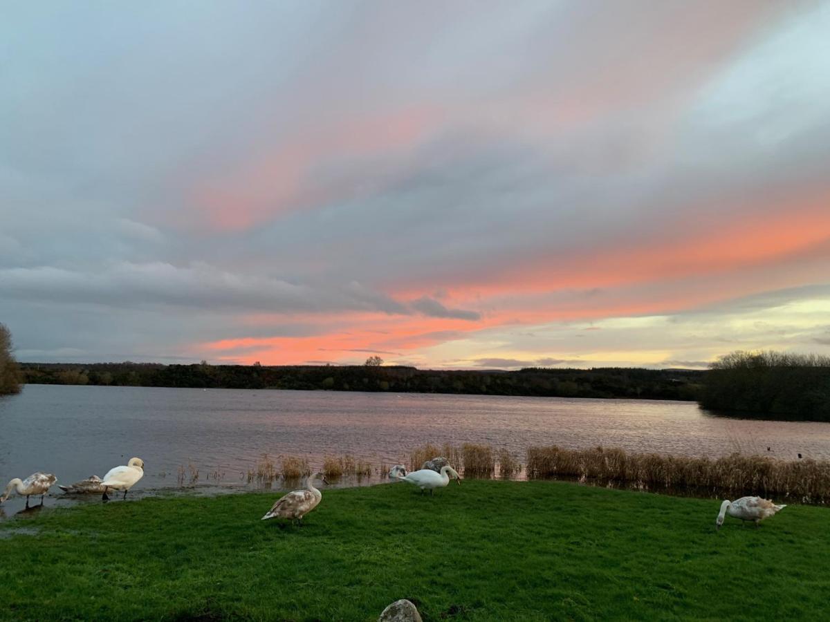 Lochside Loft - Self Catering Apartment For 2 In A Great Location For Inverness Airport And Both Cabot Highlands & Nairn Golf Courses Extérieur photo
